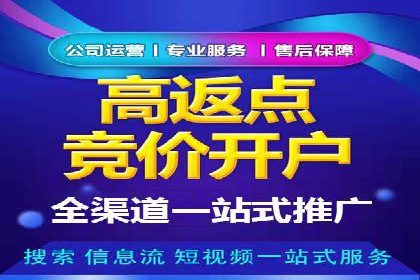 SEM竞价代运营成功案例解析